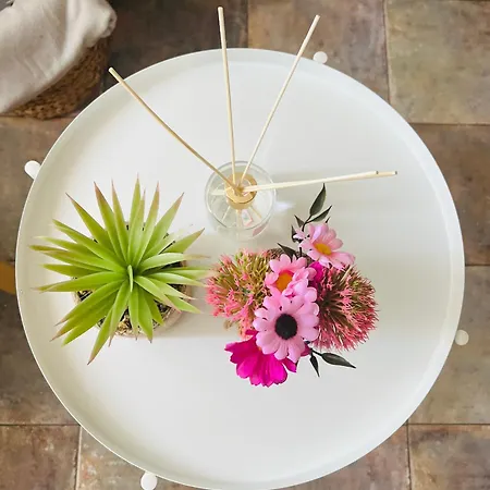 Casa Loli Caleta Caballo * Caleta de Caballo