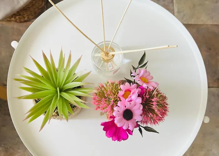 Casa Loli Caleta Caballo * Caleta de Caballo